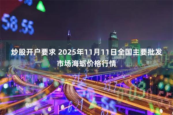 炒股开户要求 2025年11月11日全国主要批发市场海蛎价格行情