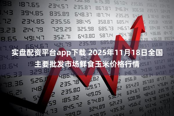 实盘配资平台app下载 2025年11月18日全国主要批发市场鲜食玉米价格行情